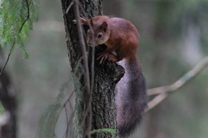 DSCF4033.JPG
