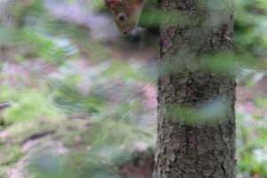 DSCF4040.JPG