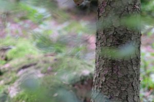 DSCF4043.JPG