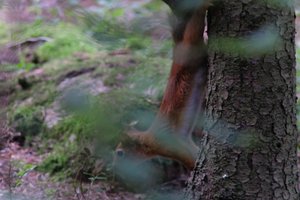 DSCF4051.JPG
