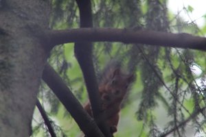 DSCF4058.JPG