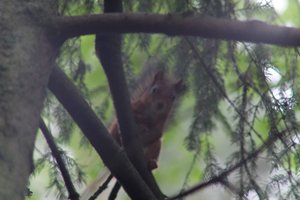 DSCF4059.JPG