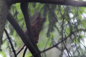 DSCF4061.JPG