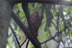 DSCF4066.JPG