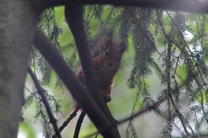 DSCF4067.JPG