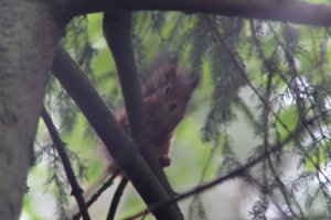 DSCF4070.JPG