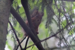 DSCF4071.JPG