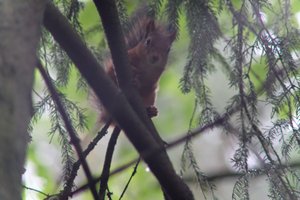 DSCF4072.JPG