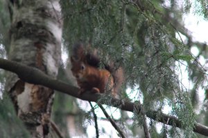 DSCF4073.JPG