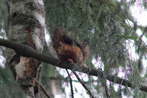 DSCF4076.JPG