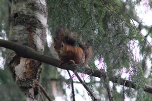 DSCF4078.JPG