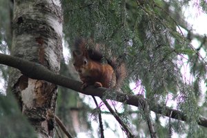 DSCF4079.JPG
