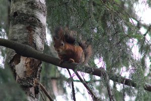 DSCF4080.JPG