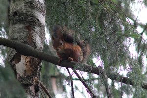 DSCF4081.JPG
