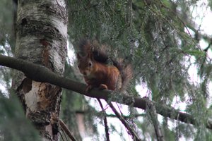 DSCF4083.JPG