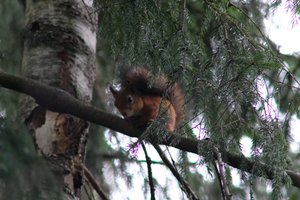 DSCF4103.JPG