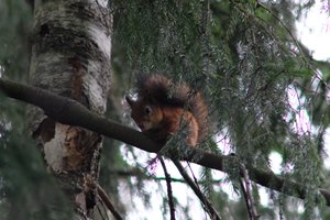 DSCF4105.JPG
