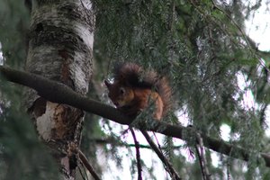 DSCF4108.JPG
