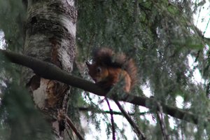 DSCF4112.JPG