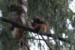 DSCF4113.JPG