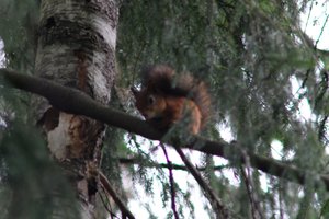 DSCF4114.JPG