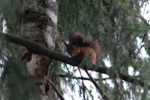 DSCF4115.JPG
