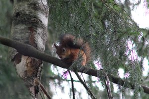DSCF4116.JPG