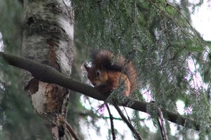 DSCF4117.JPG