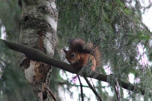 DSCF4118.JPG