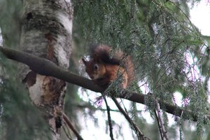 DSCF4119.JPG
