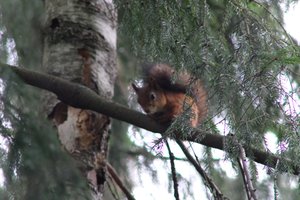 DSCF4120.JPG