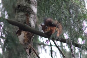 DSCF4121.JPG