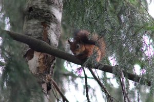 DSCF4122.JPG