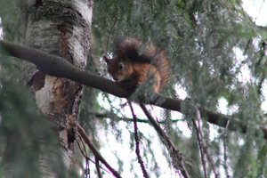DSCF4123.JPG