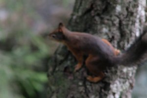 DSCF4125.JPG