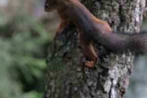DSCF4128.JPG
