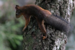 DSCF4129.JPG
