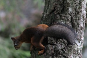 DSCF4131.JPG