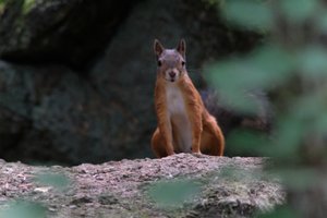 DSCF4153.JPG