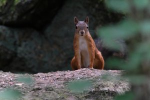 DSCF4154.JPG