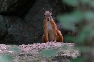 DSCF4156.JPG