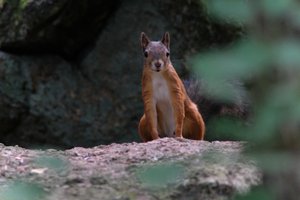 DSCF4157.JPG