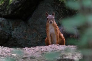 DSCF4158.JPG