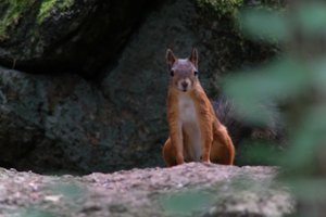 DSCF4159.JPG
