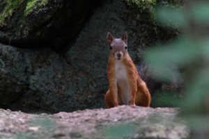 DSCF4160.JPG