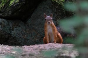 DSCF4161.JPG