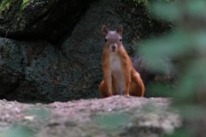 DSCF4162.JPG