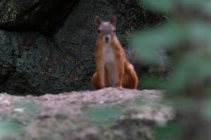 DSCF4163.JPG