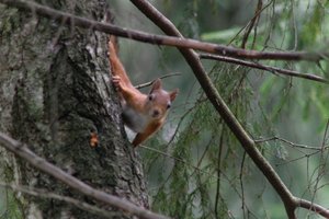 DSCF4169.JPG