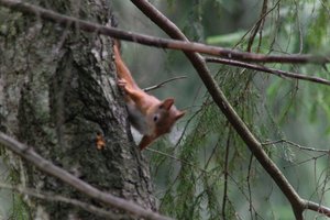 DSCF4170.JPG